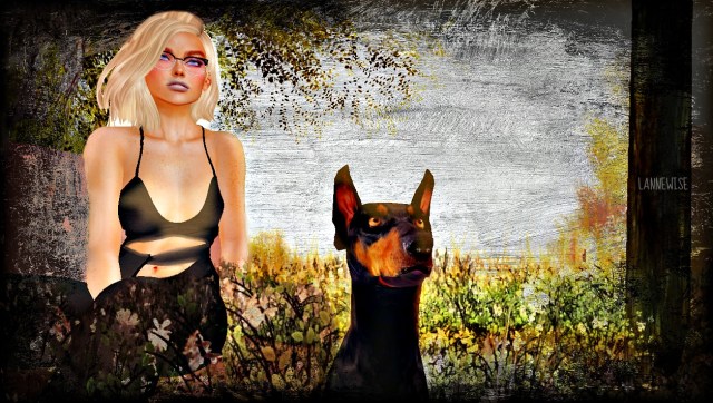 a good dog is hard to find....